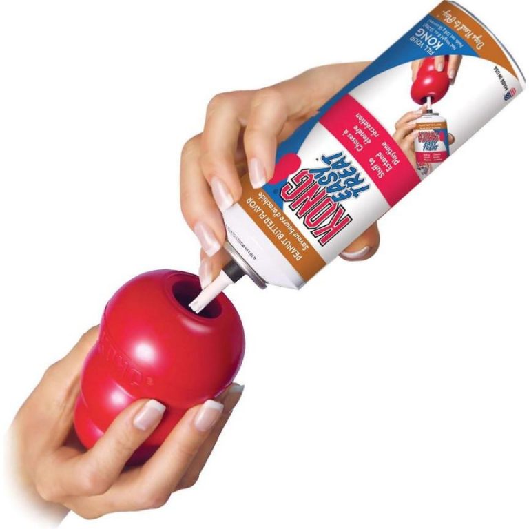 kong easy treat puppy