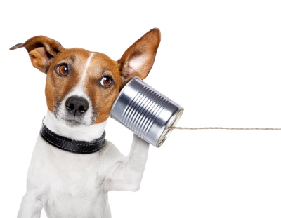 dog on the phone with  a can