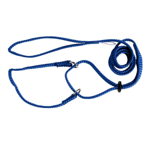 Beau Pets - Martingale Show Lead