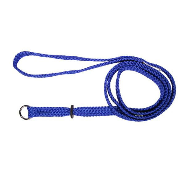 Beau Pets - Nylon - Single Nylon - Choker Lead - Blue