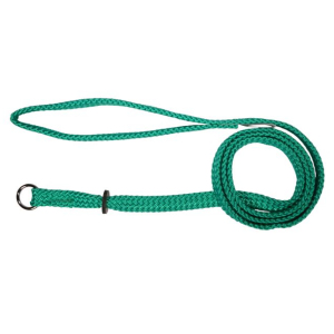 Beau Pets - Nylon - Single Nylon - Choker Lead - Green