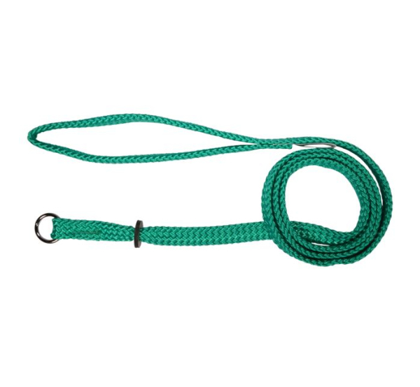 Beau Pets - Nylon - Single Nylon - Choker Lead - Green