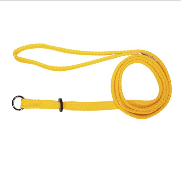 Beau Pets - Nylon - Single Nylon - Choker Lead - Gold