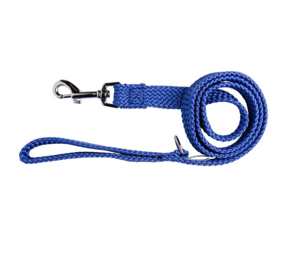 Beau Pets - Double Nylon - Lead - Blue