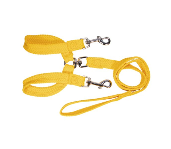 Beau Pets - Double Nylon - Brace Lead - Image 2