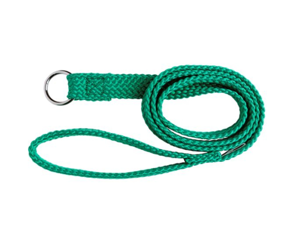 Beau Pets - Double Nylon - Choker Lead - Green