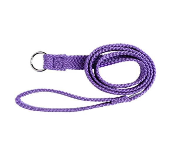 Beau Pets - Double Nylon - Choker Lead - Purple