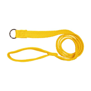 Beau Pets - Double Nylon - Choker Lead - Gold