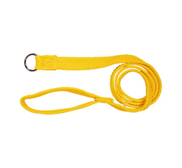 Beau Pets - Double Nylon - Choker Lead - Gold