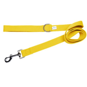 Beau Pets - Webbing Lead - Gold
