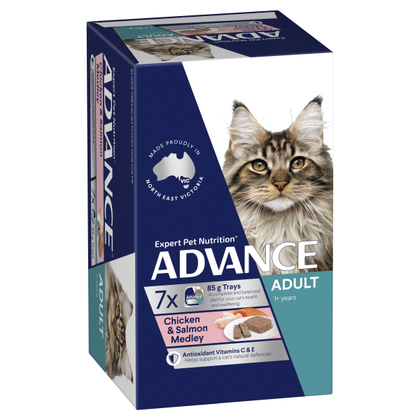 Advance - Wet Food Trays - Adult Cat - Image 4