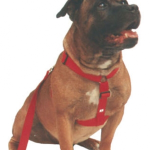 Beau Pets - Walking Harness - Black