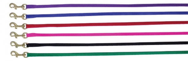 Beau Pets - Puppy - Nylon Lead - Image 2