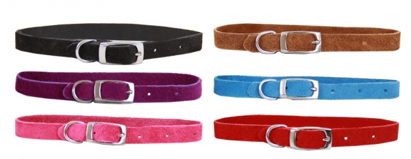 Beau Pets - Puppy - Collar - Suede - Image 2