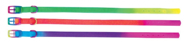 Beau Pets - Puppy - Collar - Rainbow - Image 2