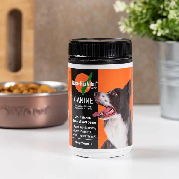 Rose-Hip Vital - Canine - Image 2