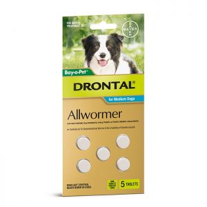 Drontal - Allwormer
