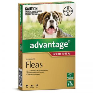 Advantage - Fleas - Dogs 10kg to 25kg