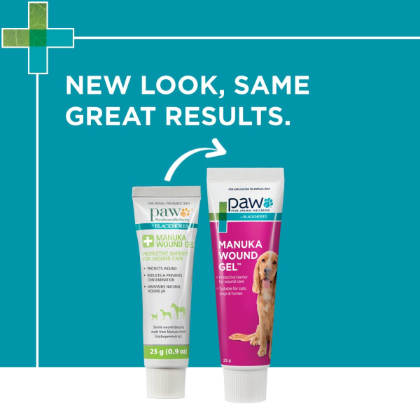 Blackmores: Paw - Manuka Wound Gel - Image 2