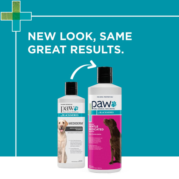 Blackmores: Paw - Mediderm - Gentle Medicated Shampoo - Image 2