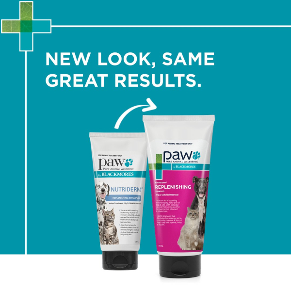 Blackmores: Paw - NutriDerm Replenishing Shampoo - Image 2