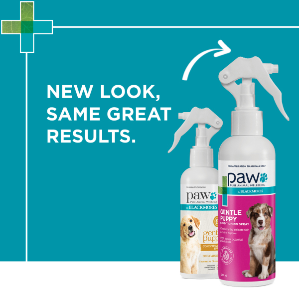 Blackmores: Paw - Puppy - Conditioning Spray - Image 2