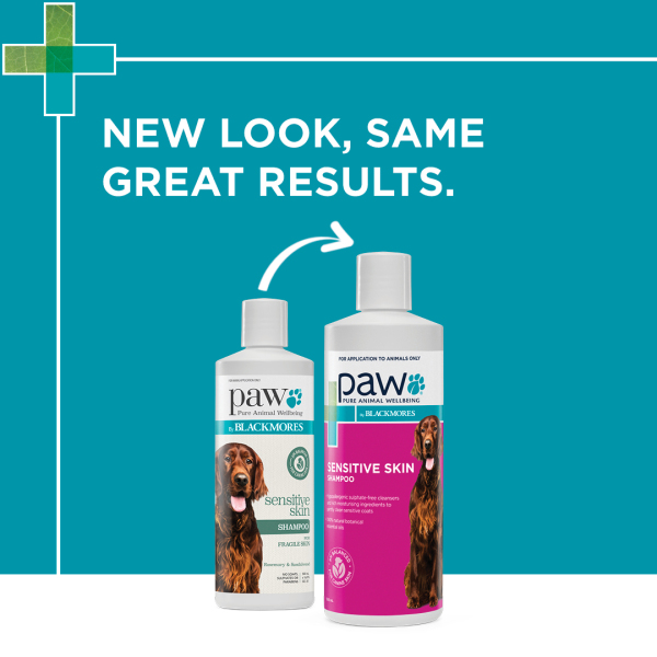 Blackmores: Paw - Sensitive Skin Shampoo - Image 2