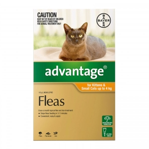 Advantage - Fleas - Kittens & Small Cats up to 4kg