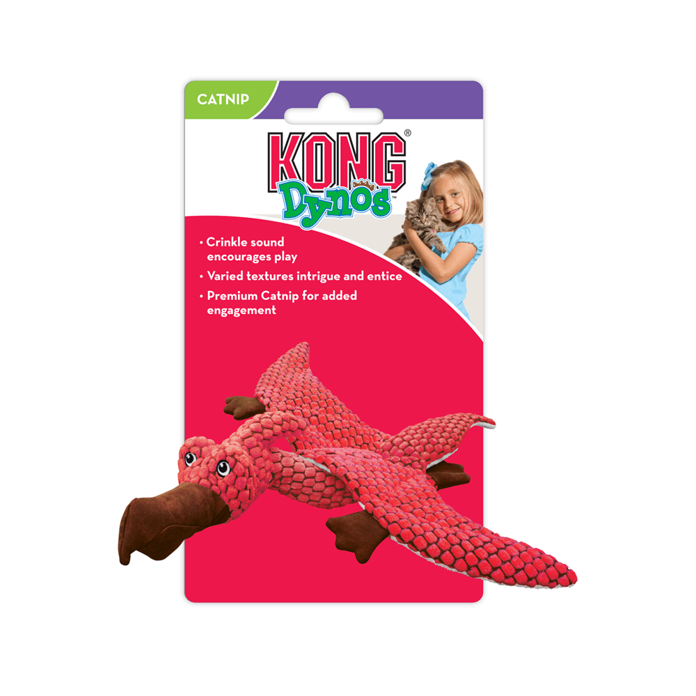 kong dynos