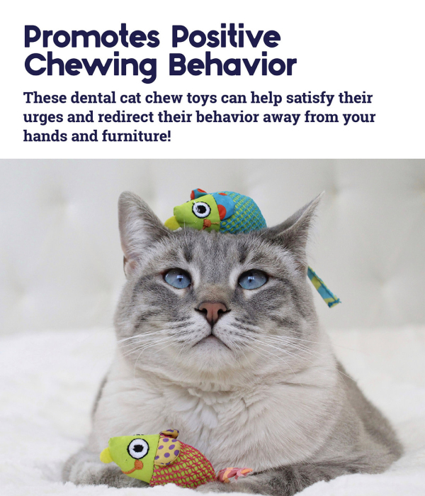 Catstages - Catnip Chew Mice - Image 5