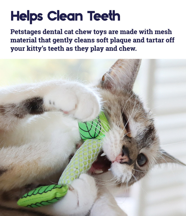 Petstages - Fresh Breath Mint Stick - Image 4