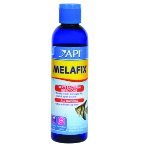 API - MelaFix