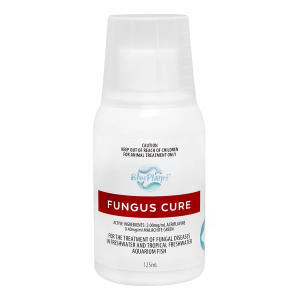 Blue Planet - Fungus Cure