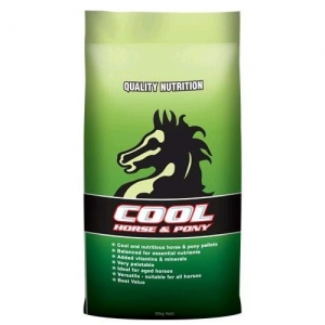 Laucke - Cool Horse & Pony