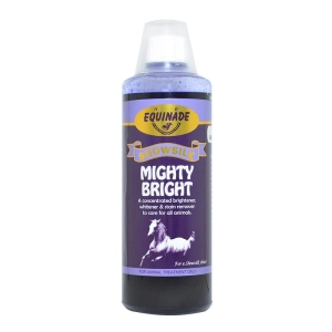 Equinade - Showsilk - Mighty Bright