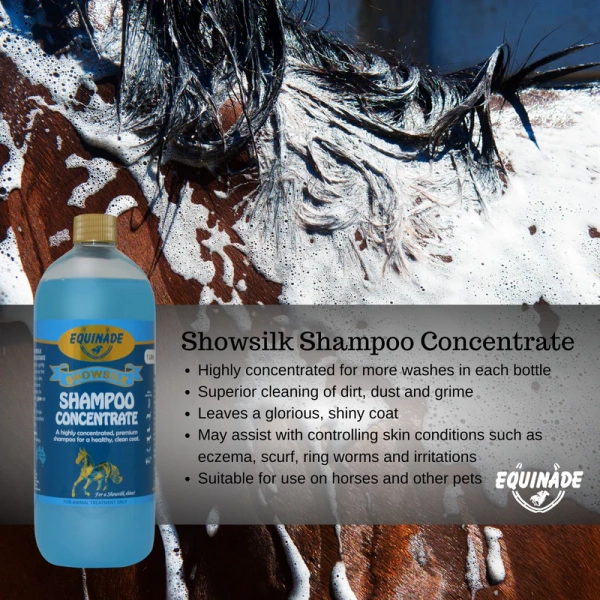 Equinade - Showsilk - Shampoo Concentrate - Image 3