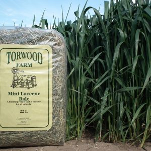 Torwood Farm - Mini Lucerne Bale