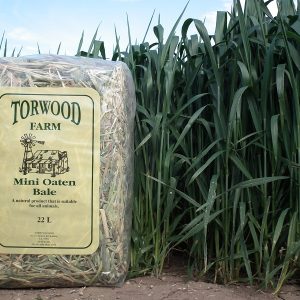 Torwood Farm - Mini Oaten Bale