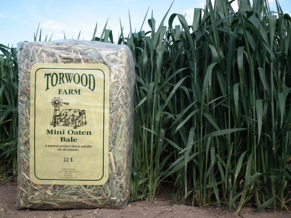 Torwood Farm - Mini Oaten Bale