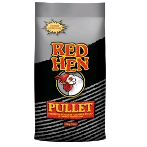 Laucke - Red Hen - Pullet - SPECIAL ORDER