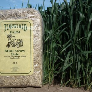 Torwood Farm - Mini Straw Bale