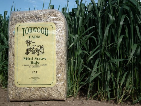 Torwood Farm - Mini Straw Bale