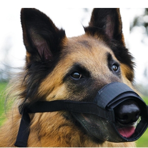Beau Pets - Adjustable Muzzle - Nylon