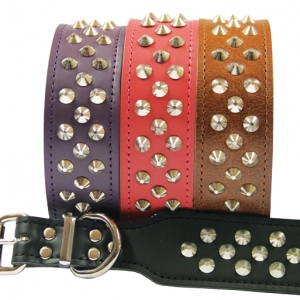 Beau Pets - Studded Leather Collar -Staffordshire Bull Terrier - Black