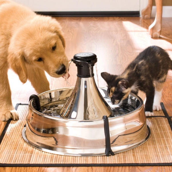 PetSafe - Drinkwell - 360 Stainless Steel Pet Fountain - SPECIAL ORDER - Image 2