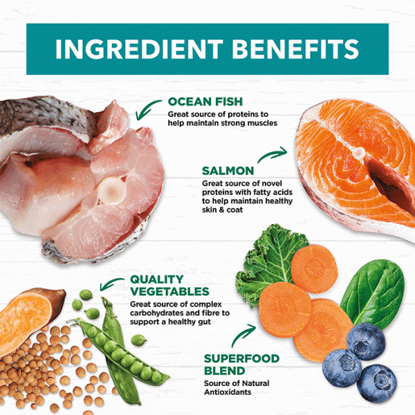 Ivory Coat - Adult Dog - GRAIN FREE - Salmon & Ocean Fish - Image 7