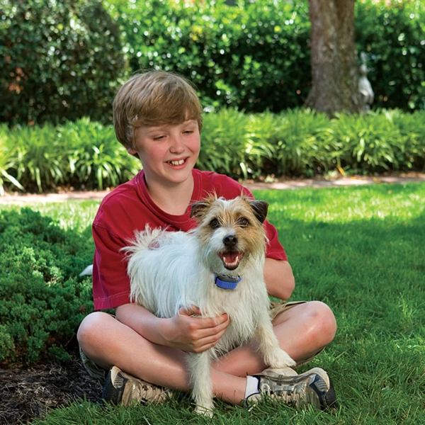 PetSafe - Elite Little Dog Spray Bark Control Collar - Image 3