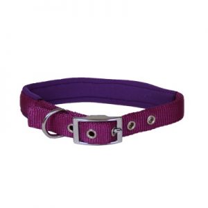 Beau Pets - Neoprene Collar - Purple