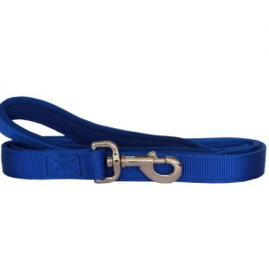 Beau Pets - Neoprene Handle - Nylon Lead - Blue