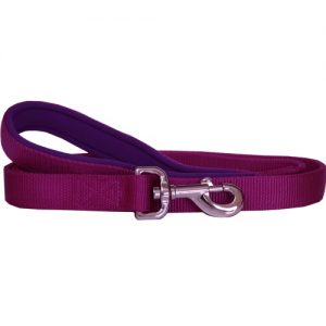 Beau Pets - Neoprene Handle - Nylon Lead - Purple